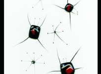 lorena-krause-gopop-60