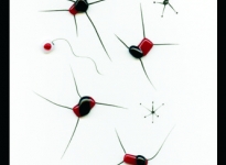 lorena-krause-gopop-63