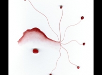 lorena-krause-gopop-64