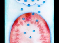 lorena-krause-gopop-8