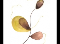 lorena-krause-gopop-128