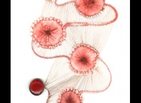 lorena-krause-gopop-201