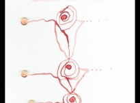 lorena-krause-gopop-213