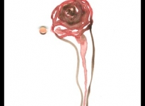 lorena-krause-gopop-215